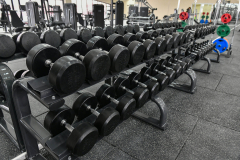 54e9274ce2f78b642539c7782dd19e1f